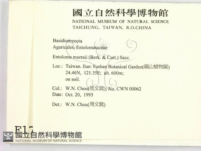 登錄號:F0001711藏品圖，第2張