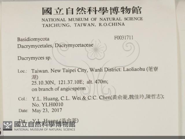 花耳屬藏品圖，第2張
