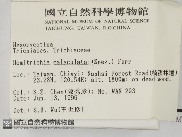 登錄號:F0004711藏品圖，第2張