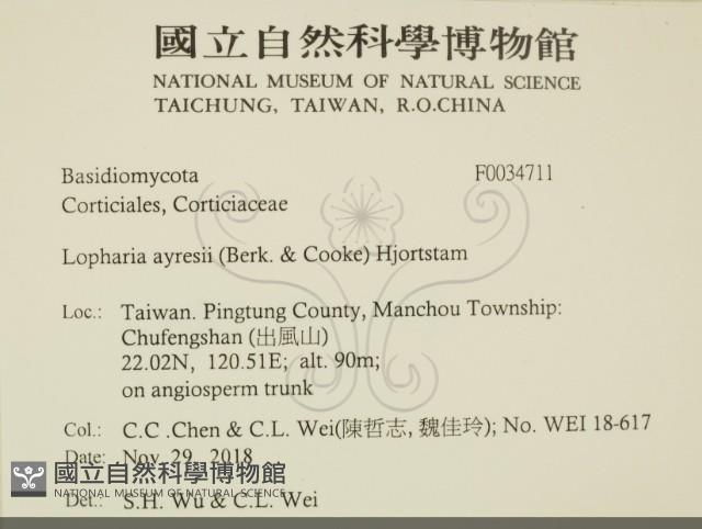 登錄號:F0034711藏品圖，第2張