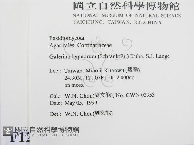 登錄號:F0012711藏品圖，第2張