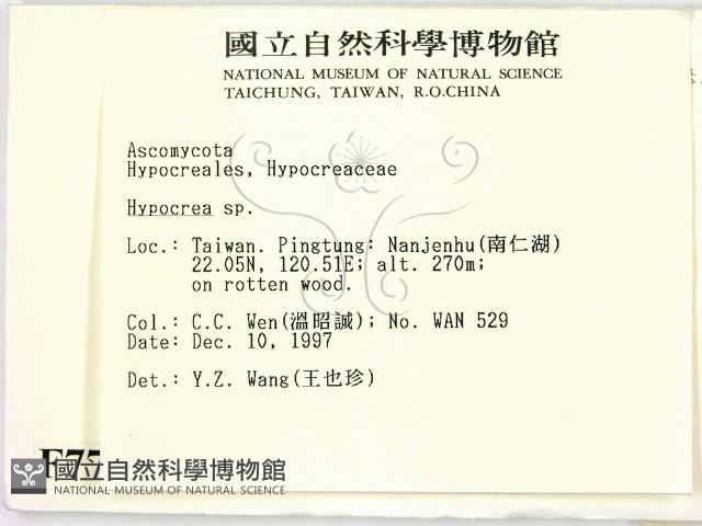 登錄號:F0007711藏品圖，第2張