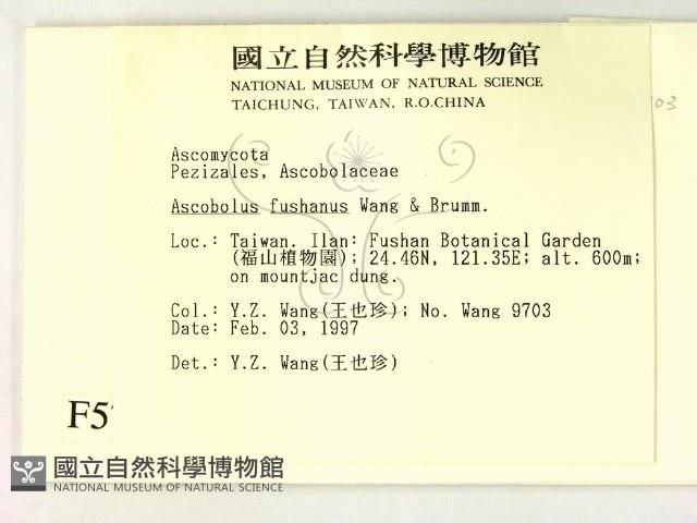 登錄號:F0005711藏品圖，第2張