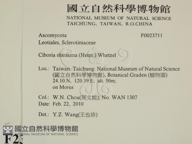 登錄號:F0023711藏品圖，第2張