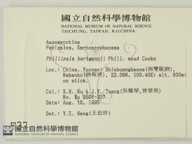 登錄號:F0003711藏品圖，第2張