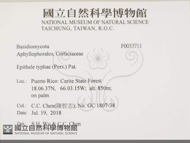 登錄號:F0033711藏品圖，第2張