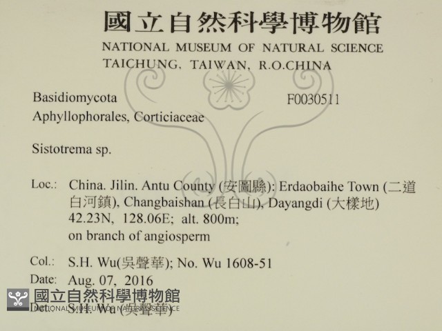 登錄號:F0030511藏品圖，第2張