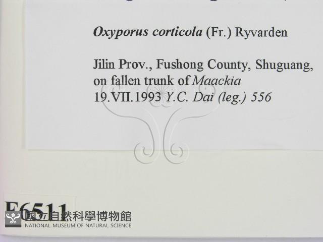 登錄號:F0006511藏品圖，第2張