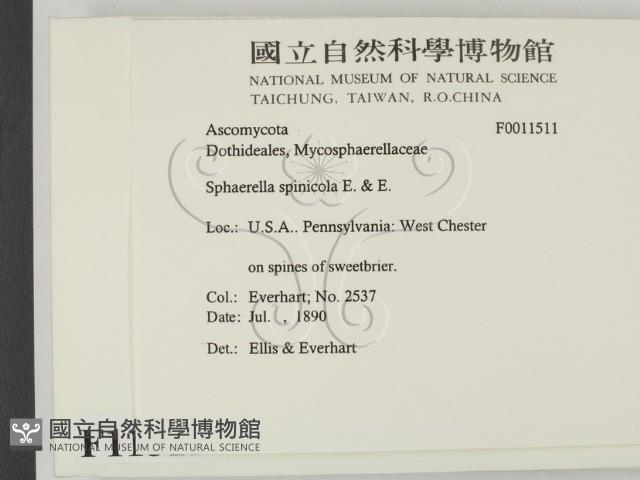登錄號:F0011511藏品圖，第2張