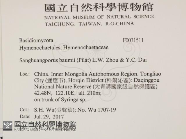 登錄號:F0031511藏品圖，第2張