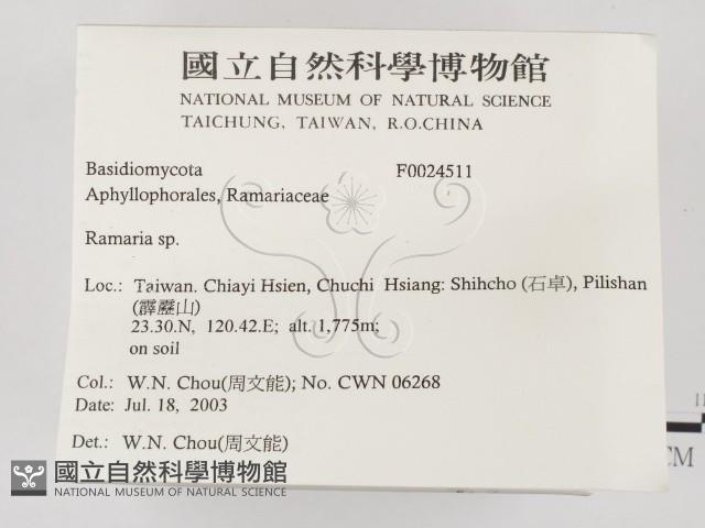 登錄號:F0024511藏品圖，第2張