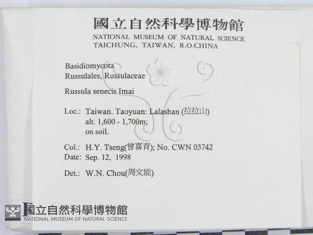 登錄號:F0012511藏品圖，第2張