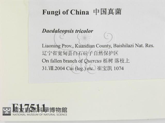 登錄號:F0017511藏品圖，第2張