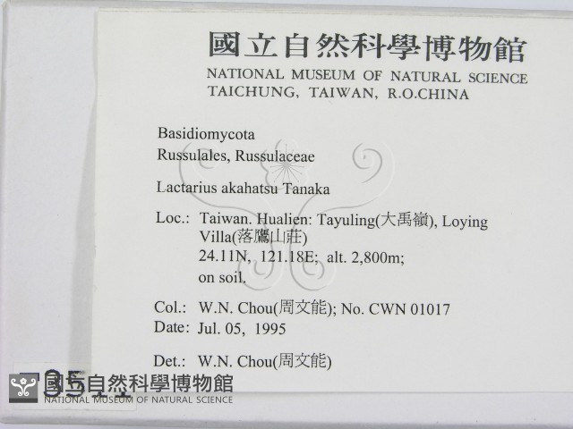 登錄號:F0003511藏品圖，第2張