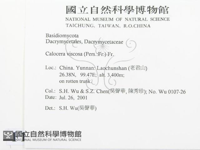 登錄號:F0013511藏品圖，第2張