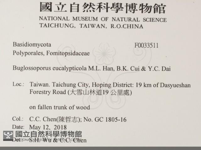 登錄號:F0033511藏品圖，第2張
