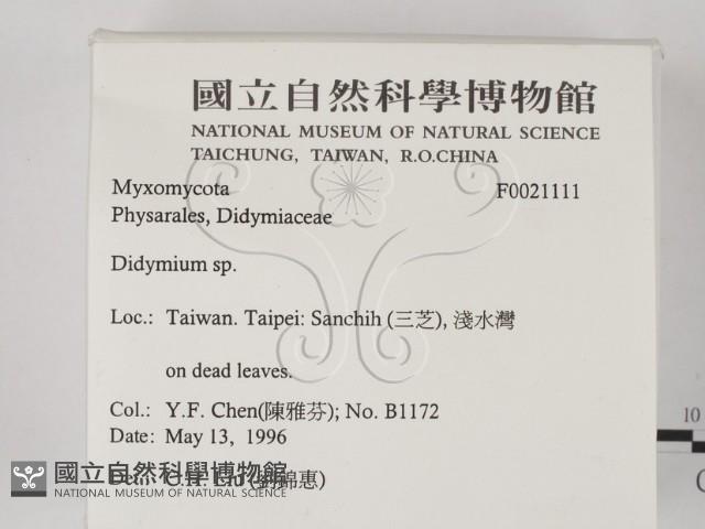 登錄號:F0021111藏品圖，第2張