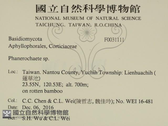 登錄號:F0031111藏品圖，第2張