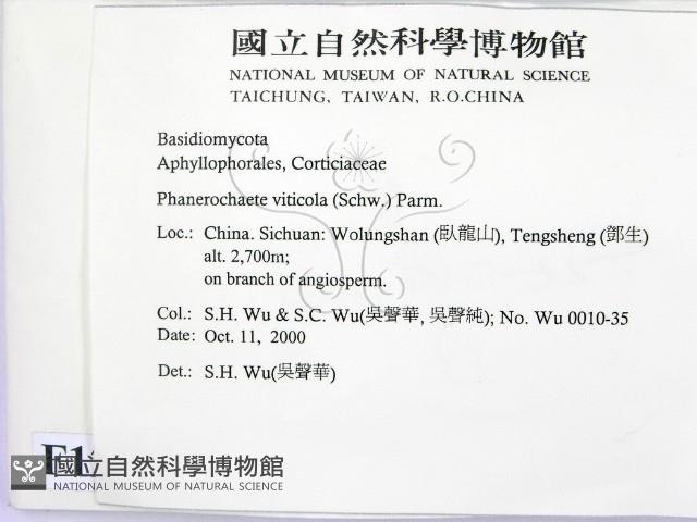 登錄號:F0012111藏品圖，第2張