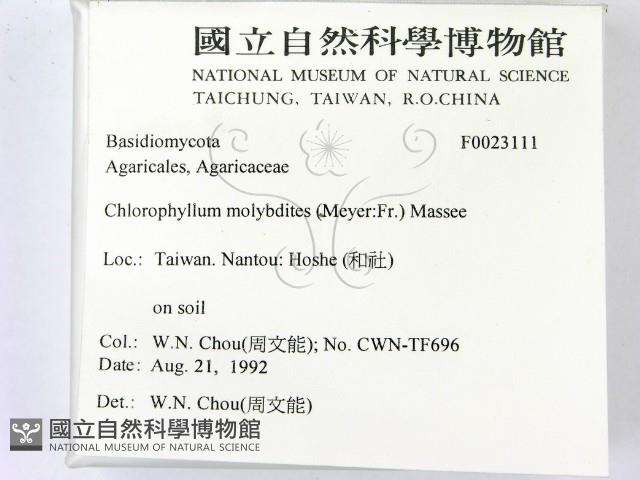 登錄號:F0023111藏品圖，第2張