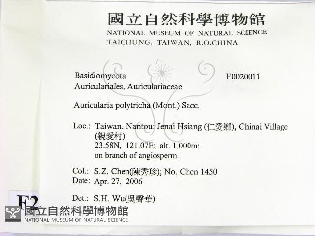 毛木耳藏品圖，第2張