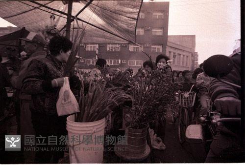 1950至2006年臺灣常民生活藏品圖，第1張
