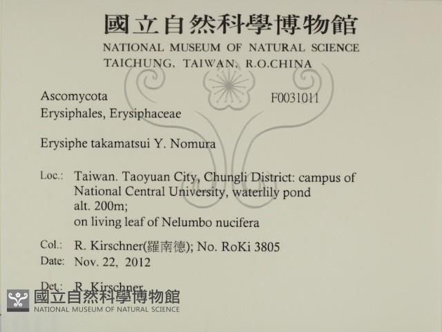 登錄號:F0031011藏品圖，第2張