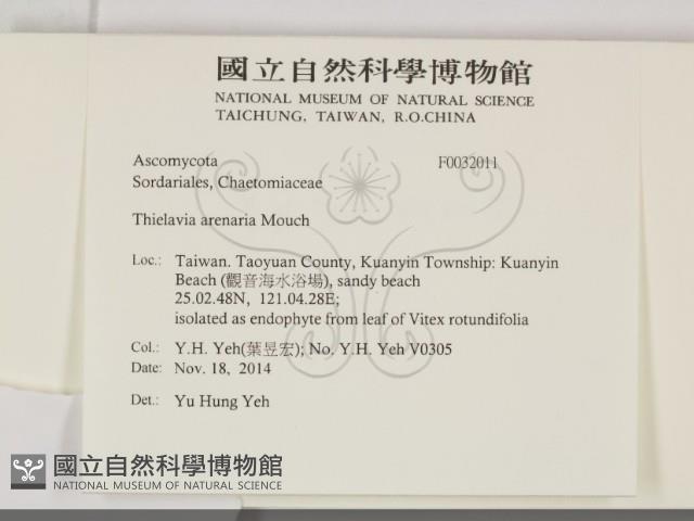 登錄號:F0032011藏品圖，第2張