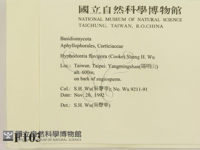 登錄號:F0010311藏品圖，第2張