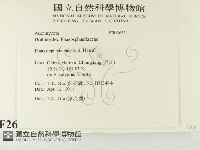 登錄號:F0026311藏品圖，第2張