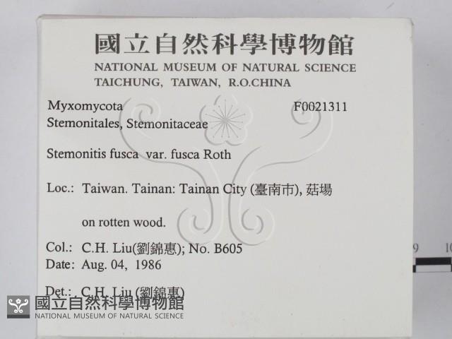 登錄號:F0021311藏品圖，第2張