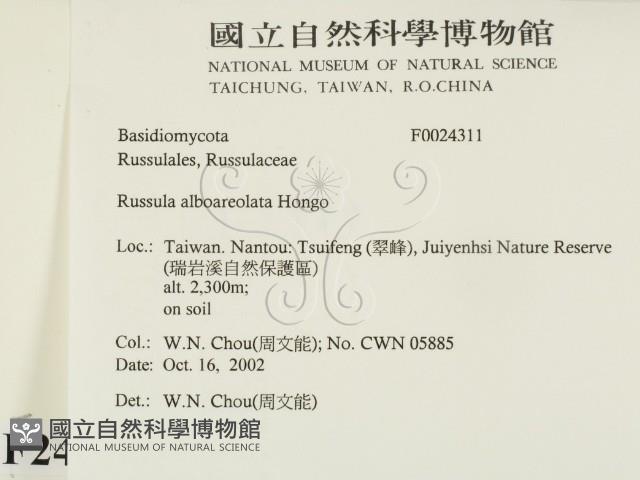 登錄號:F0024311藏品圖，第2張