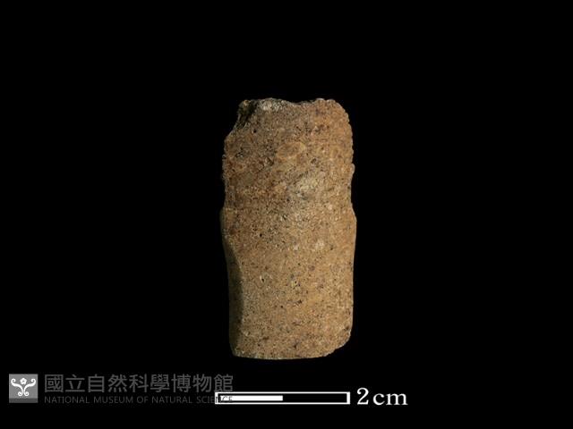 矛鏃形器藏品圖，第1張