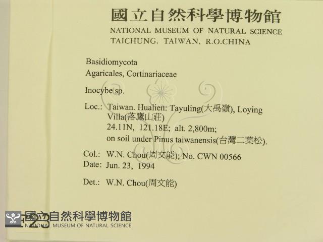 登錄號:F0002311藏品圖，第2張