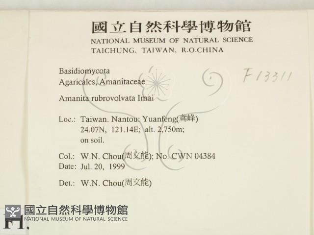 登錄號:F0013311藏品圖，第2張