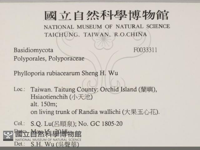 登錄號:F0033311藏品圖，第2張