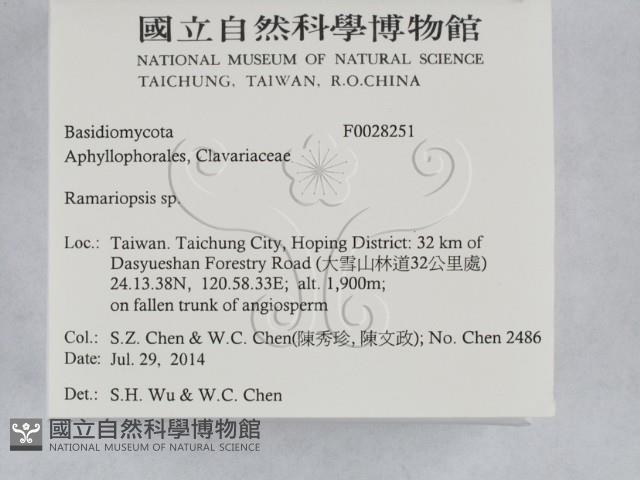 登錄號:F0028251藏品圖，第2張