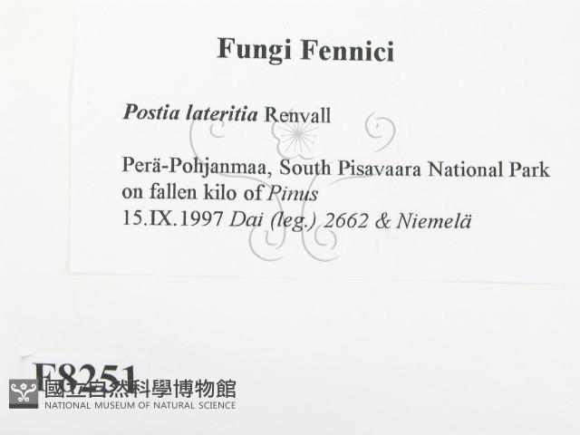 登錄號:F0008251藏品圖，第2張