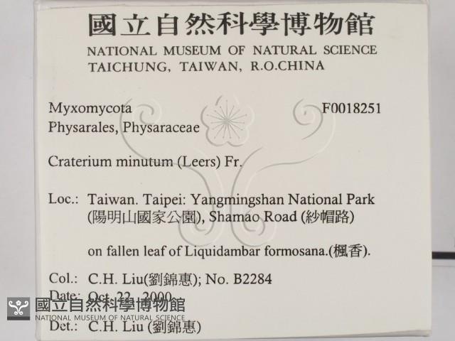 登錄號:F0018251藏品圖，第2張