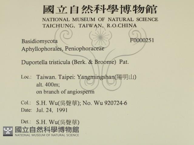 登錄號:F0000251藏品圖，第2張