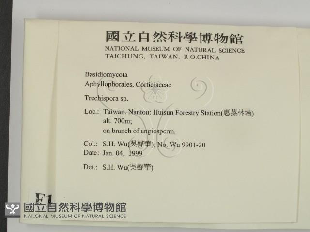 登錄號:F0010251藏品圖，第2張