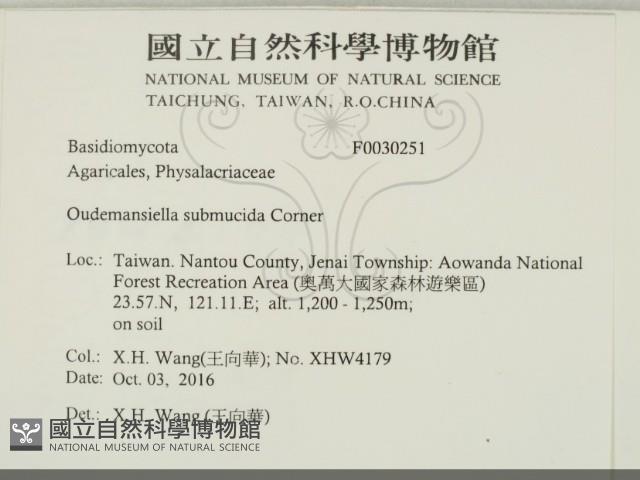 登錄號:F0030251藏品圖，第2張