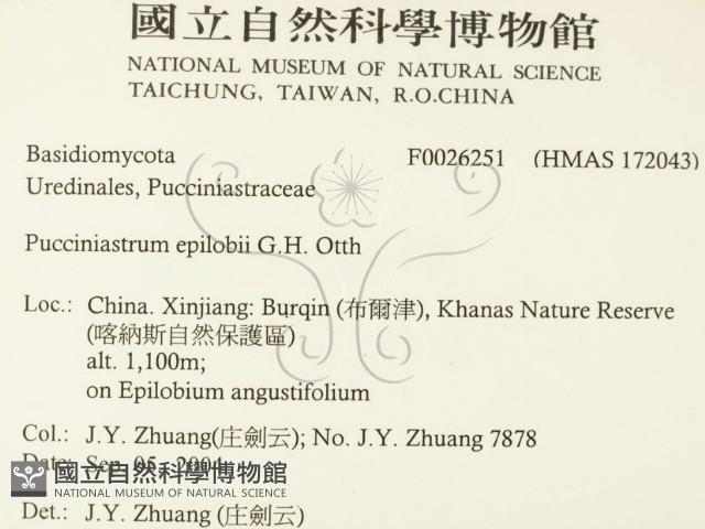 登錄號:F0026251藏品圖，第2張