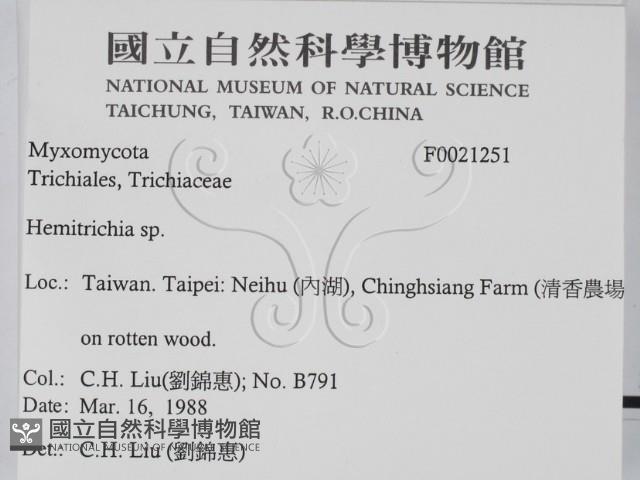 登錄號:F0021251藏品圖，第2張