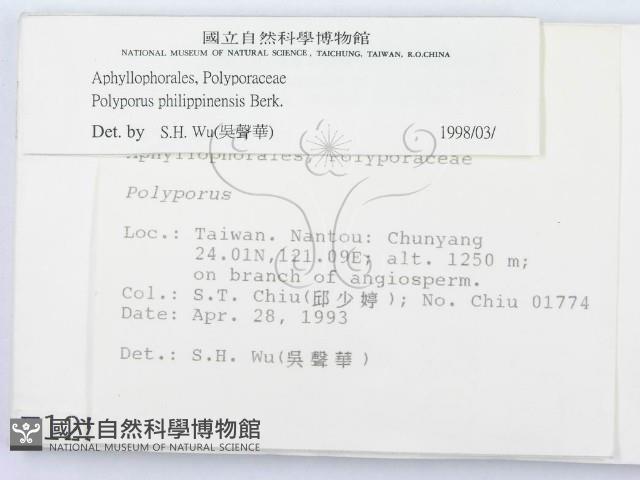 登錄號:F0001251藏品圖，第2張