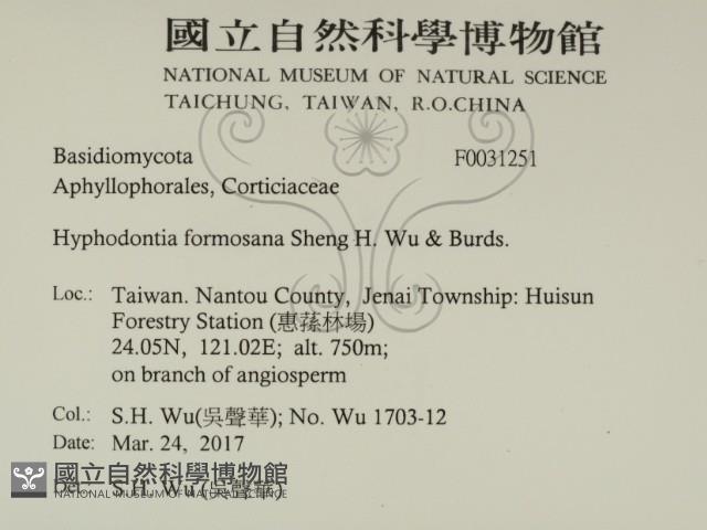 登錄號:F0031251藏品圖，第2張