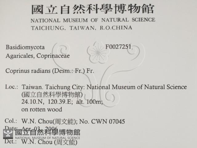 登錄號:F0027251藏品圖，第2張