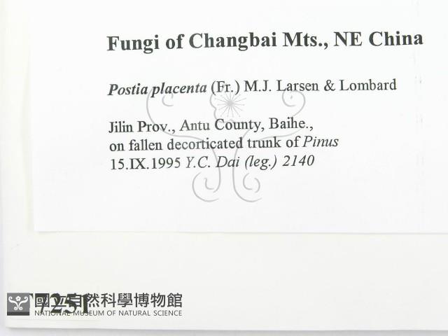 登錄號:F0007251藏品圖，第2張