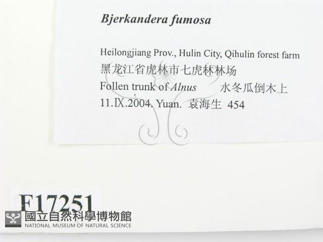 登錄號:F0017251藏品圖，第2張
