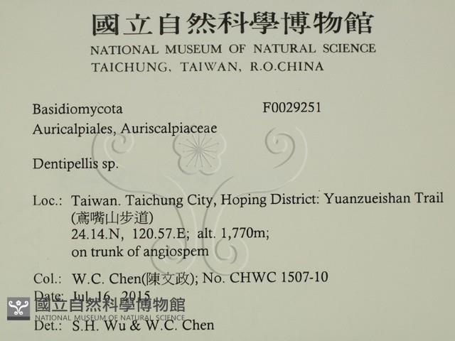 登錄號:F0029251藏品圖，第2張